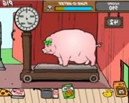 Feed the pig online