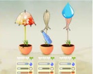 Flower garden online farmos játék