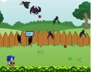Sonic in garden farmos mobil